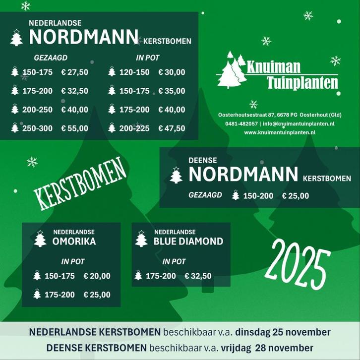 kerstbomen - Nordmann (gezaagd/in pot)/Omorika/Blue Diamond, Diversen, Kerst, Nieuw, Ophalen
