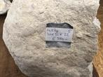 Bergkristal geode (5) 14,5kg kg, 30x30x22 prachtstuk, Ophalen of Verzenden, Mineraal