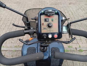 Mango Tiger 4 beschikbaar voor biedingen