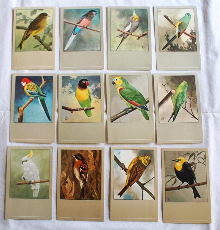 Ansichtkaarten/verzamelkaarten Vogels, Verzamelen, Ansichtkaarten | Dieren, Ongelopen, 1940 tot 1960, Vogel, Ophalen of Verzenden