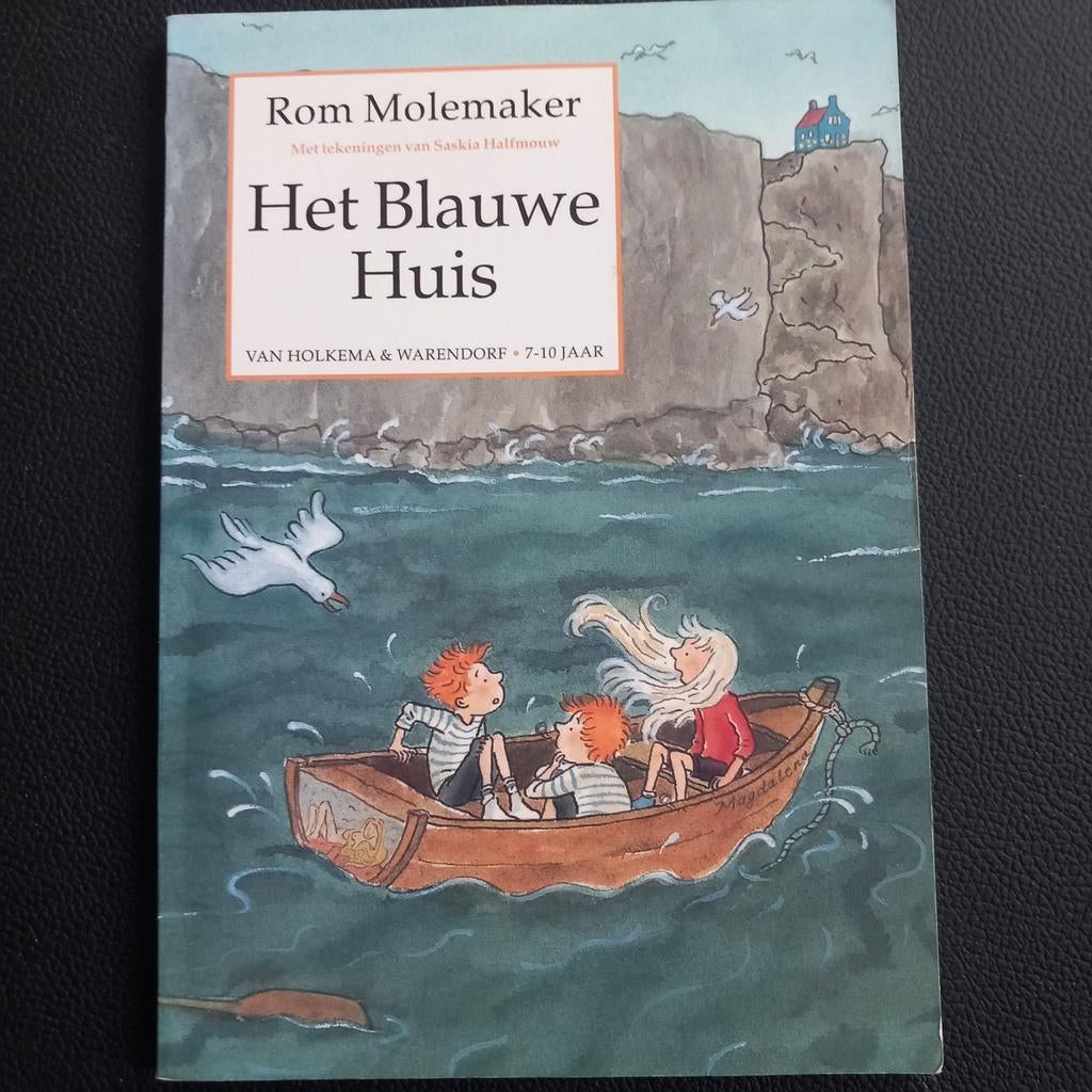 Het Blauwe Huis - Rom Molemaker, Boeken, Ophalen of Verzenden, Zo goed als nieuw, Rom Molemaker, Fictie algemeen