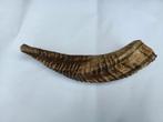 Unieke Schapenhoorn / Shofar - 19cm, Ophalen of Verzenden, Zo goed als nieuw, Boerderijdier, Overige typen