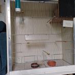 Kooien en vogels zie advertentie, Dieren en Toebehoren, Ophalen, Zo goed als nieuw, Hout, Vogelkooi