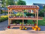 Vaste planten, pompoenen en honing, Tuin en Terras, Ophalen, Zomer, Overige soorten, Volle zon