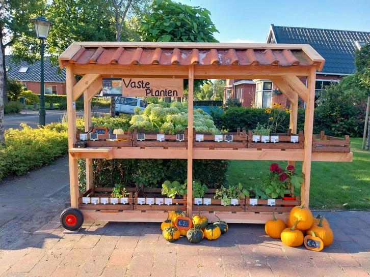 Vaste planten, pompoenen en honing, Tuin en Terras, Planten | Tuinplanten, Overige soorten, Volle zon, Zomer, Ophalen