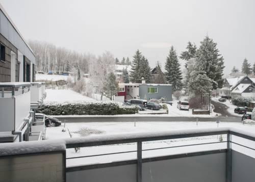 Winterberg centrum 2-5 p. vakantiehuis last minute november, Vakantie, Vakantiehuizen | Duitsland, Sauerland, Appartement, Dorp