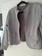 Mooie Grijs jasje, Kleding | Dames, Ophalen of Verzenden, Zo goed als nieuw, Maat 46/48 (XL) of groter, Grijs