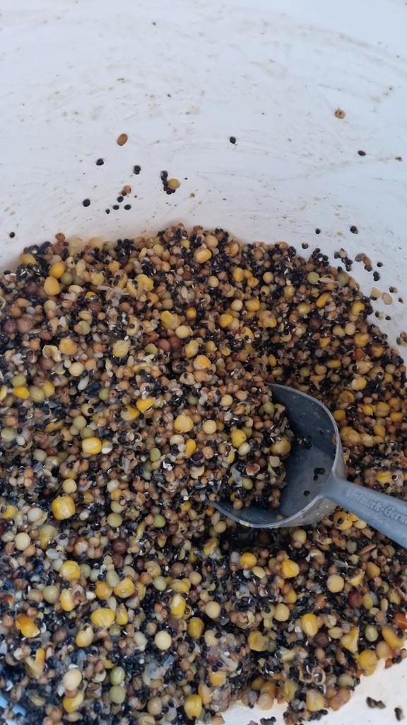 Kant en klare partikels, Watersport en Boten, Hengelsport | Karpervissen, Nieuw, Overige typen, Ophalen of Verzenden