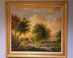 Prachtig groot landschap-Thomas Heesakkers, Ophalen