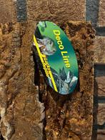 reptielen, Dieren en Toebehoren, Reptielen en Amfibieën, Overige soorten, 0 tot 2 jaar