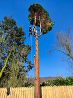 Eerenbeemt Boomverzorging: snoeien en verwijderen van bomen., Diensten en Vakmensen, Tuinmannen en Stratenmakers, Garantie, Tuinonderhoud of Snoeiwerk