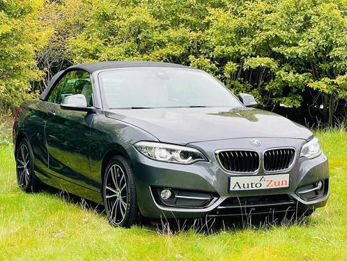 BMW 2-serie Cabrio 230i High Executive/Navi/Leder(Bij 2020), Auto's, BMW, Bedrijf, Te koop, 2-Serie, ABS, Achteruitrijcamera, Airbags