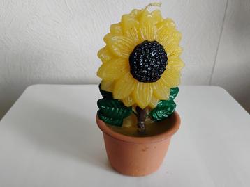 Nieuwe Kaars  model zonnebloem in potje 15 cm hoog 8 cm br beschikbaar voor biedingen