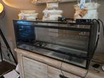 Terrarium 1meter bij 40-40, Dieren en Toebehoren, Reptielen en Amfibieën | Toebehoren, Ophalen, Gebruikt, Terrarium of Paludarium