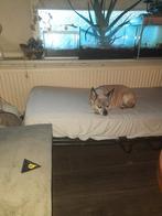 Gezocht een nieuwere matrass voor mijn inklapbed, Huis en Inrichting, Ophalen of Verzenden, Eenpersoons, Hout