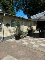 Stacaravan met plek camping de Konijnenberg in Harderwijk., Caravans en Kamperen, Stacaravans, Tot en met 4