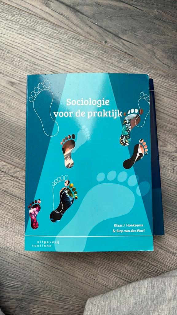 Siep van der Werf - Sociologie voor de praktijk, Boeken, Studieboeken en Cursussen, Zo goed als nieuw, Ophalen of Verzenden