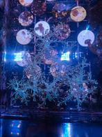 Keniaboom Stekken ( koraal ), Ophalen of Verzenden, Nieuw