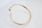 14 Karaat Gouden Armband | Dolfijn, Ophalen of Verzenden, Zo goed als nieuw, Goud, Goud