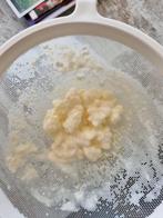 Melkkefir., Diversen, Levensmiddelen, Ophalen of Verzenden