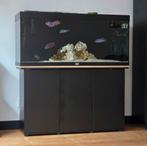 Aquarium Aquatlantis volga 240 compleet vissen Eheim filters, Ophalen, Zo goed als nieuw, Gevuld zoetwateraquarium