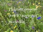 Pluktuin geopend 9 + 10 aug. Midwolda, Ophalen, Zomer, Volle zon