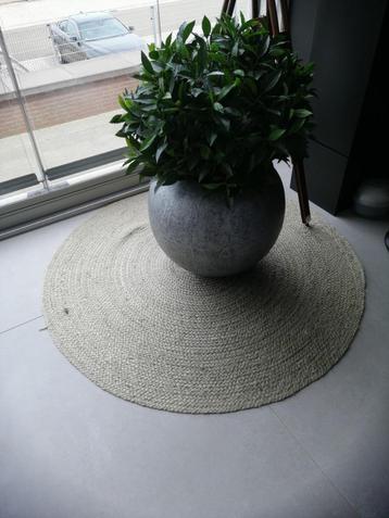 Vloerkleed beschikbaar voor biedingen
