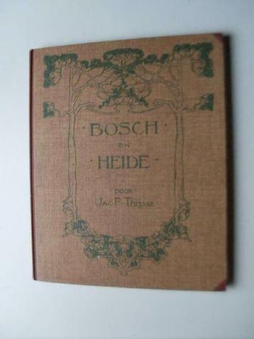 Verkade Album bosch en heide - Jac P Thijsse 1913 beschikbaar voor biedingen
