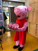 Peppa pig mascotte te huur, Ophalen of Verzenden