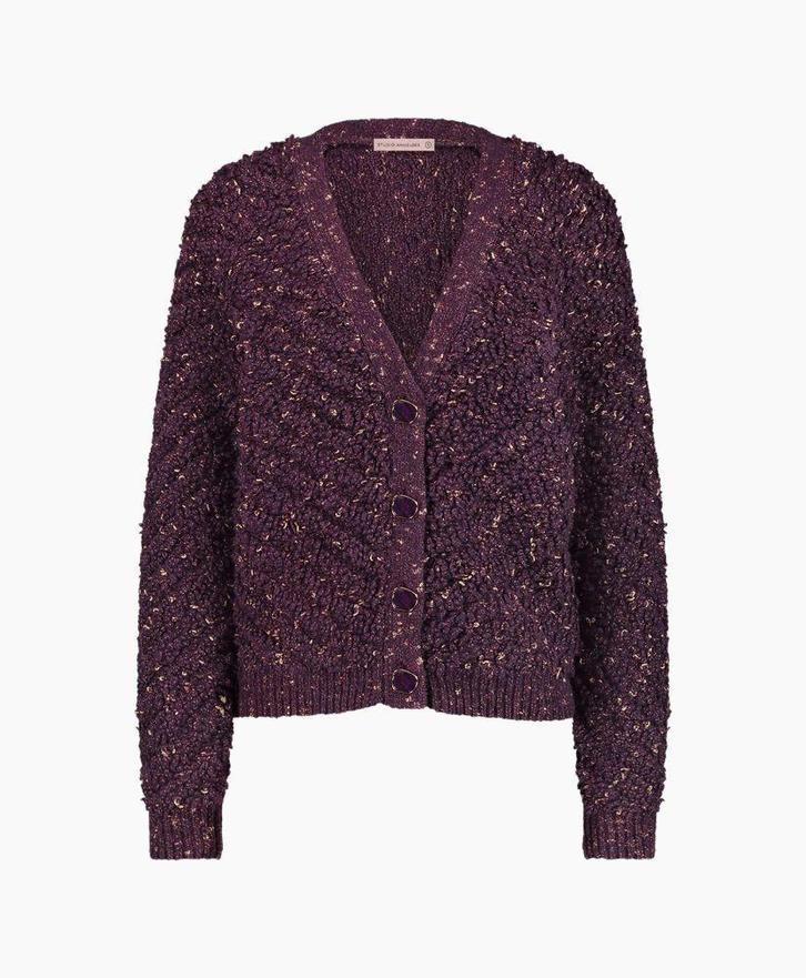 Studio anneloes chunky vest nieuw, Kleding | Dames, Truien en Vesten, Nieuw, Maat 36 (S), Paars, Ophalen of Verzenden