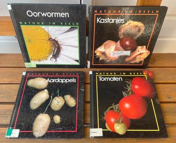 Natuur in beeld de ruiter - Maarten de Jongh boeken tomaten beschikbaar voor biedingen