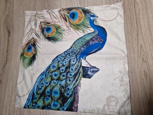 Nieuwe kussenhoes Pauw, Antiek en Kunst, Kunst | Schilderijen | Abstract, Ophalen of Verzenden