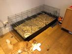 Cavia/knaagdieren kooi, Dieren en Toebehoren, Kooi, Hamster, Ophalen, Minder dan 60 cm