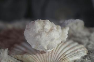 Zeldzame Bloemkool Aragoniet/Calciet Stalactiet beschikbaar voor biedingen