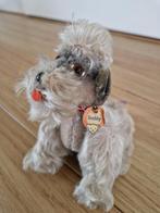 Steiff poedel, type Snobby, 13 cm hoog, Ophalen