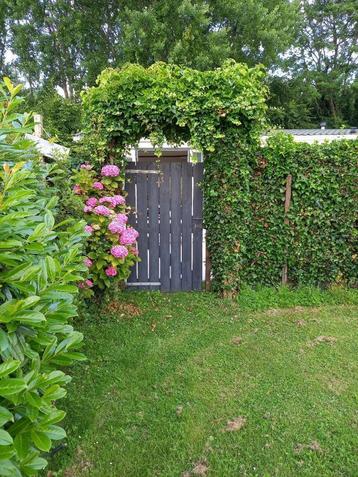 Te huur luxe stacaravan in Badplaats Rockanje beschikbaar voor biedingen