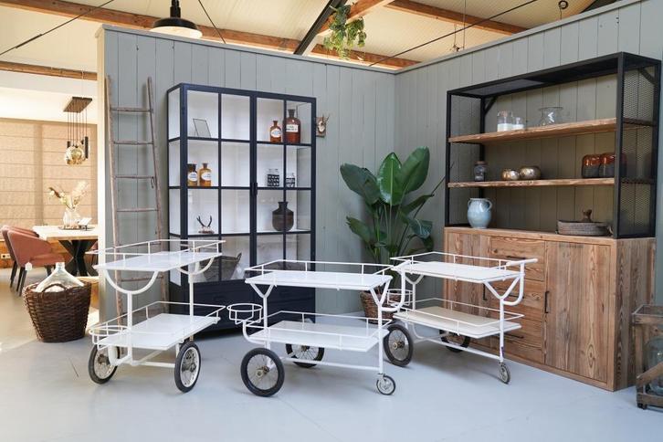 Trolley, Vintage trolley, Transportkar, Kar op wielen, Antiek en Kunst, Curiosa en Brocante, Ophalen of Verzenden