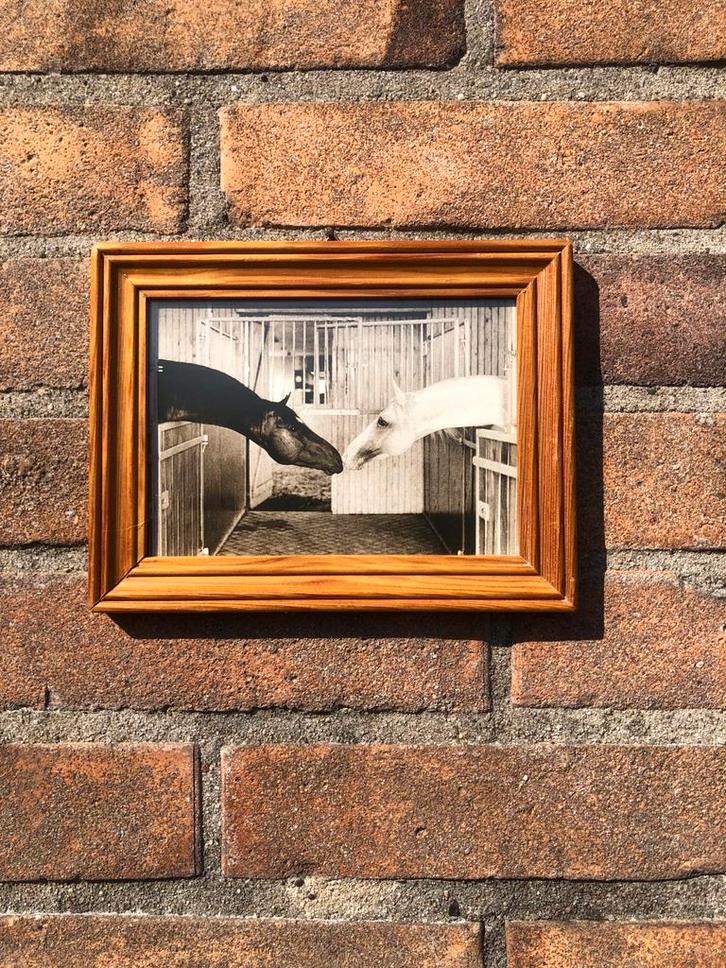 Foto van Twee Paarden in Lijst - Zwart-Wit Kunstwerk Paarden, Antiek en Kunst, Kunst | Tekeningen en Foto's, Ophalen of Verzenden