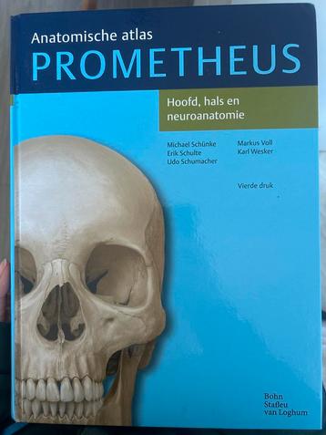Prometheus Anatomische Atlas - Hoofd, Hals, Neuro beschikbaar voor biedingen
