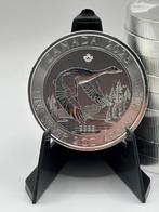 Volle Tube 14x 2oz Canadian Goose 2025 - kilo zilver munten, Ophalen of Verzenden, Zilver