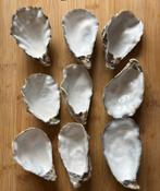 Oester Schelpen, Ophalen of Verzenden, Zo goed als nieuw