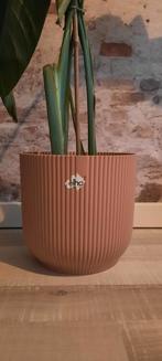 Elho bloempot, Ophalen of Verzenden, Zo goed als nieuw, Rond, Kunststof