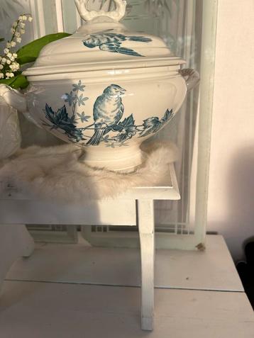Antieke Fauvette Terrine - Vogeldecor beschikbaar voor biedingen