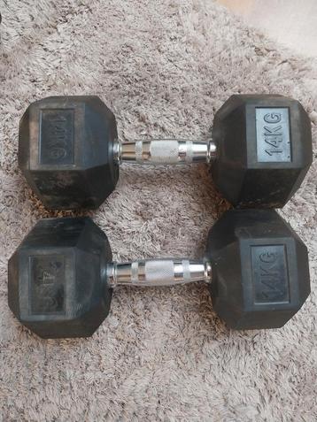 Halterset met dumbbells en stang beschikbaar voor biedingen