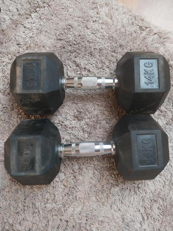 Halterset met dumbbells en stang, Sport en Fitness, Fitnessmaterialen, Gebruikt, Halterset, Armen, Benen, Borst, Buik, Rug, Ophalen of Verzenden