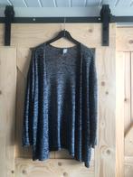 Divided vest, Ophalen of Verzenden, Zo goed als nieuw