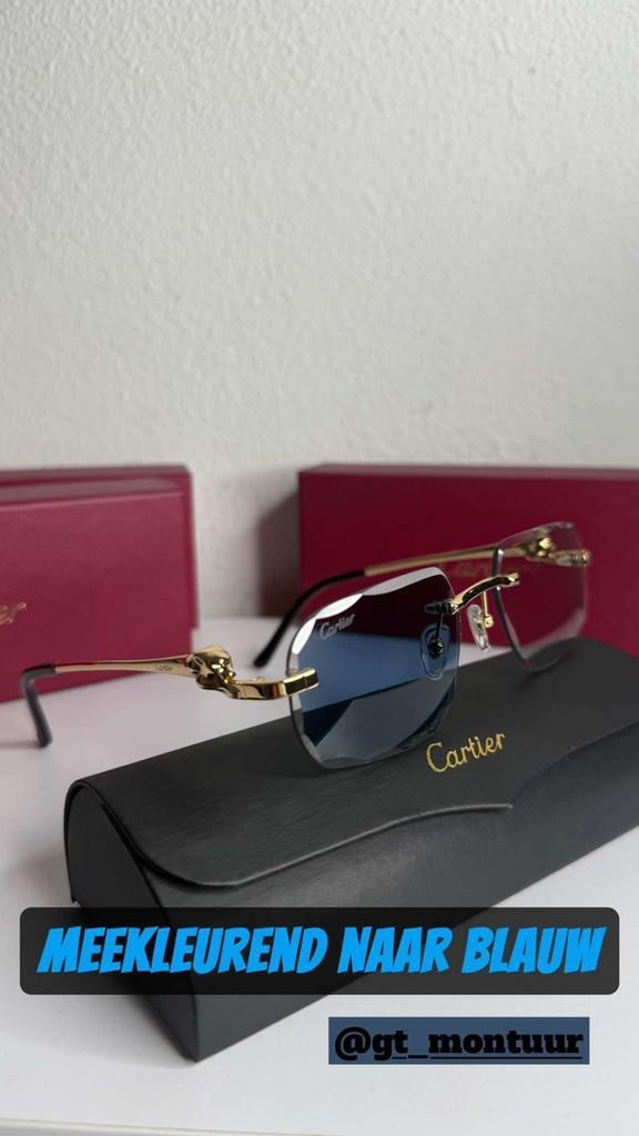 Cartier Panthère (Meekleurend), Sieraden, Tassen en Uiterlijk, Zonnebrillen en Brillen | Heren, Nieuw, Bril, Overige merken, Ophalen of Verzenden