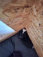 Border collie pups 1 reu beschikbaar, Rabiës (hondsdolheid), 8 tot 15 weken, Collie, Meerdere