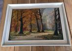 Schilderij 71/50 cm, Antiek en Kunst, Kunst | Schilderijen | Klassiek, Ophalen
