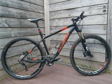 DIVERSE Mountainbikes 19 en 21 inch beschikbaar voor biedingen